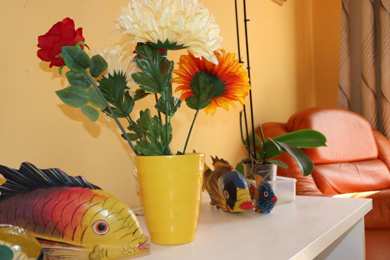 Casa Andreea Vicino Al Centro Di Olbia Iun R5904アパートメント エクステリア 写真